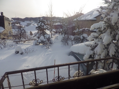 2016年1月の積雪（01）