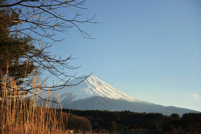 547 富士山