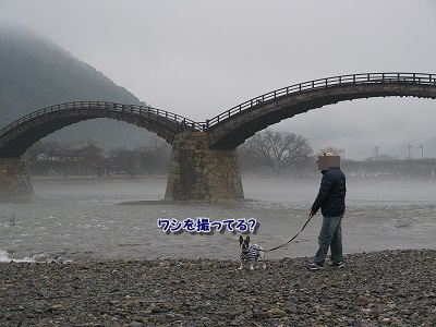 錦帯橋 (1)