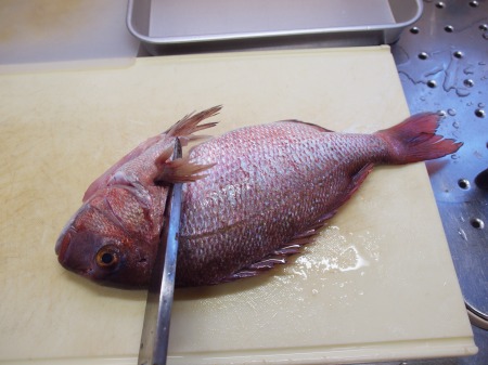 真鯛のさばき方と刺身の切り方 頭の割り方 中骨の切り方 魚料理と簡単レシピ