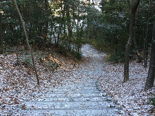 雪2016/1/25 明徳公園