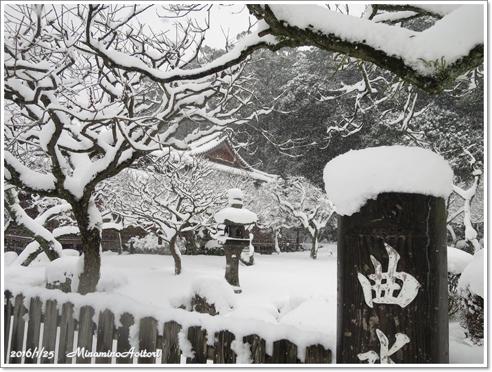 曲水の庭2016-01-25雪の太宰府 (239)