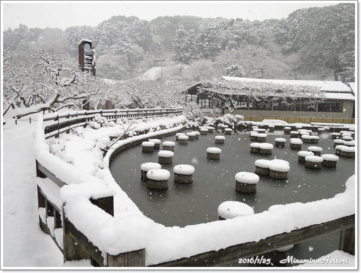 菖蒲池2016-01-25雪の太宰府 (222)