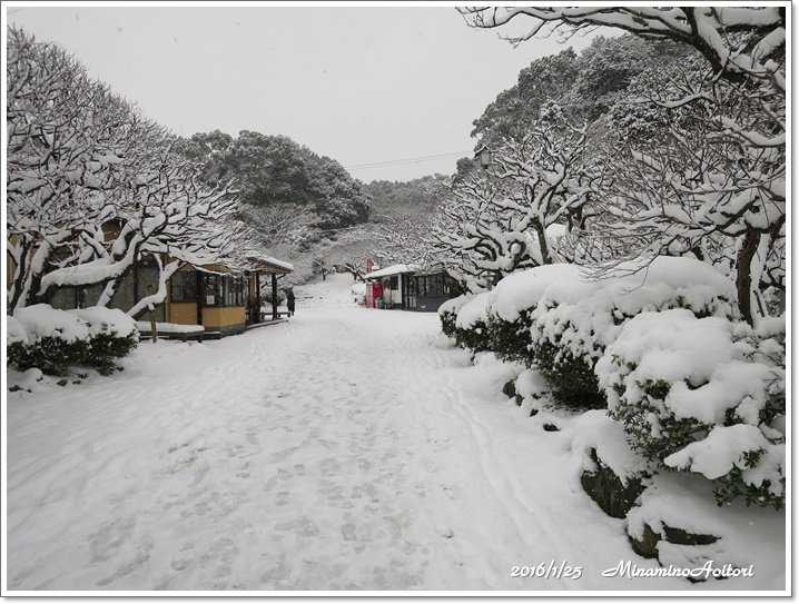梅園2016-01-25雪の太宰府 (177)