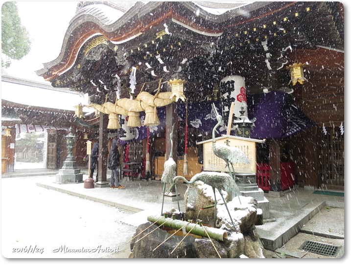 櫛田神社2016-01-24雪(福岡市巡り) (242)