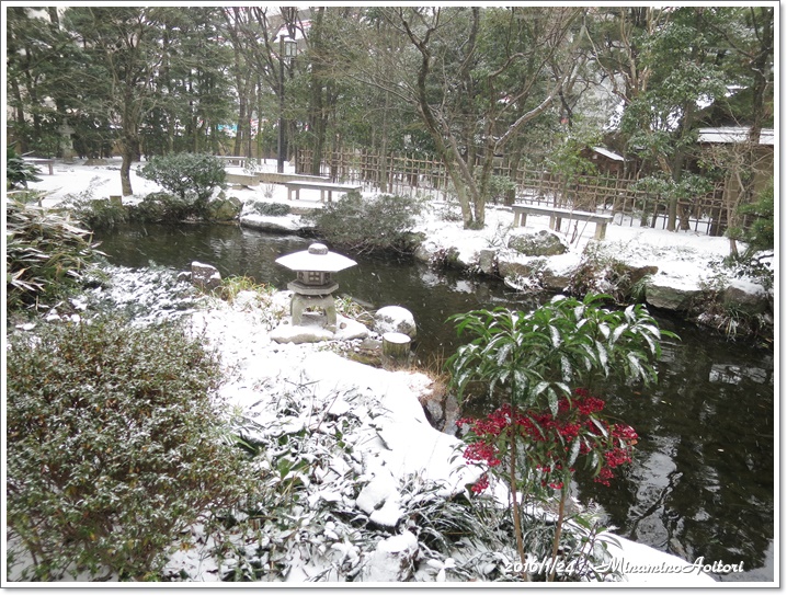 楽水園・池2016-01-24雪(福岡市巡り) (328)