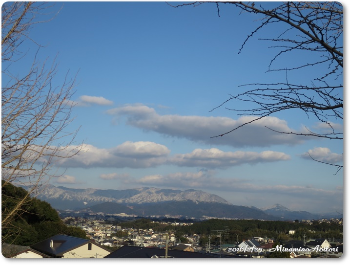 雪山2016-02-25花畑園芸公園(梅) (268)
