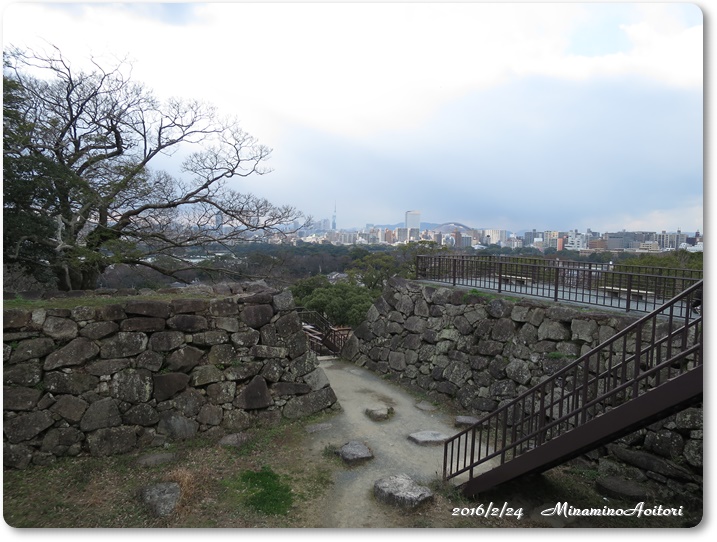 天守台から2016-02-24福岡城跡(舞鶴公園)梅 (233)