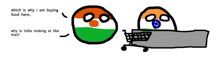 ニジェールがインドのスーパーマーケットに行くよ (2)