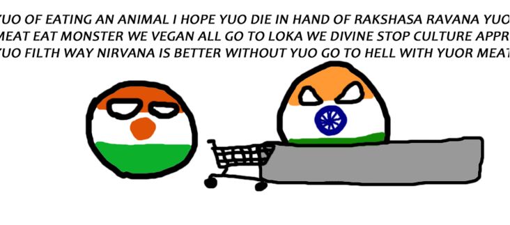 ニジェールがインドのスーパーマーケットに行くよ (5)