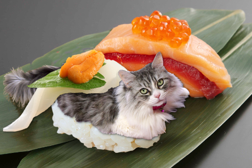 Leah-sushi.jpg