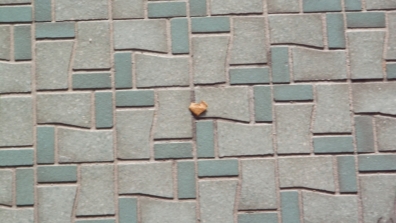 ２月10日朝に玄関のタイルにうす茶色い小さいハート型の落ち物をデジカメ写真撮影