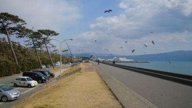 静岡県沼津市の千本浜に集うカップルや家族と海カモメの写真が絵になったデジカメ写真