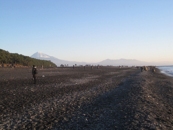 2016初日の出後の羽衣の松と富士山