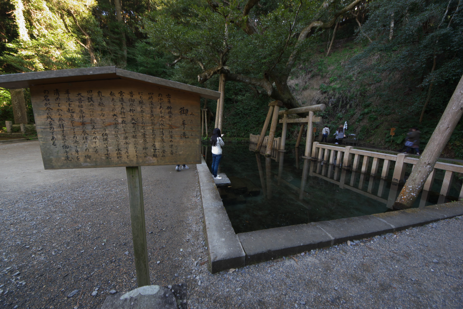 鹿島神宮の御手洗の池