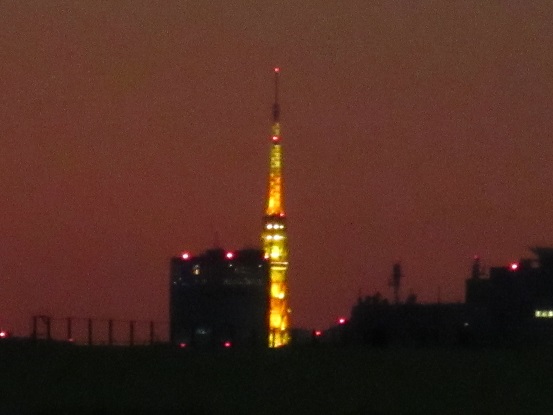 9Ｇ04　東京タワー　0110