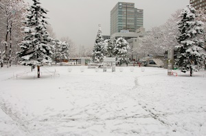 20160221札幌雪景色