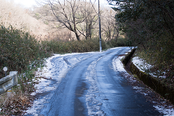 残雪の林道
