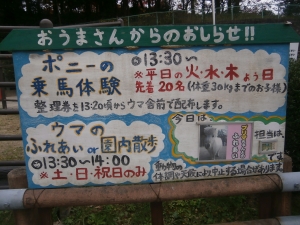 岡崎東公園動物園 乗馬体験