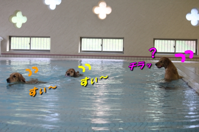 Pool with JouJou R Keyna 004