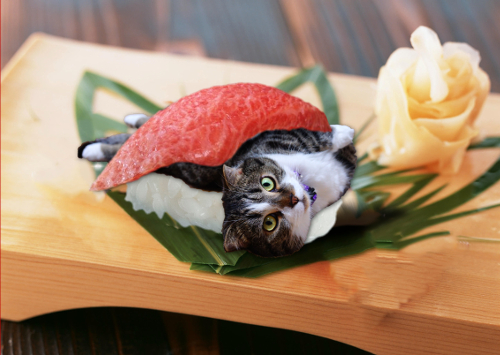 Leon-sushi.jpg