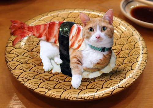 Loren-sushi.jpg