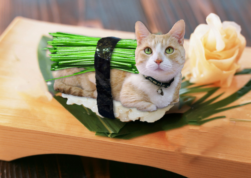 Luke-sushi.jpg