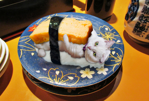 Lum-sushi.jpg