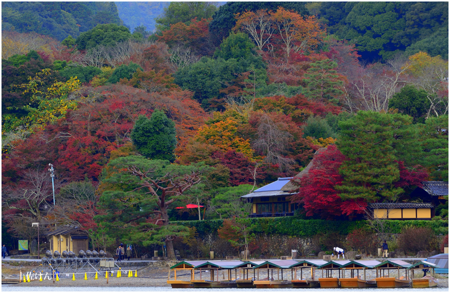 秋の京都１