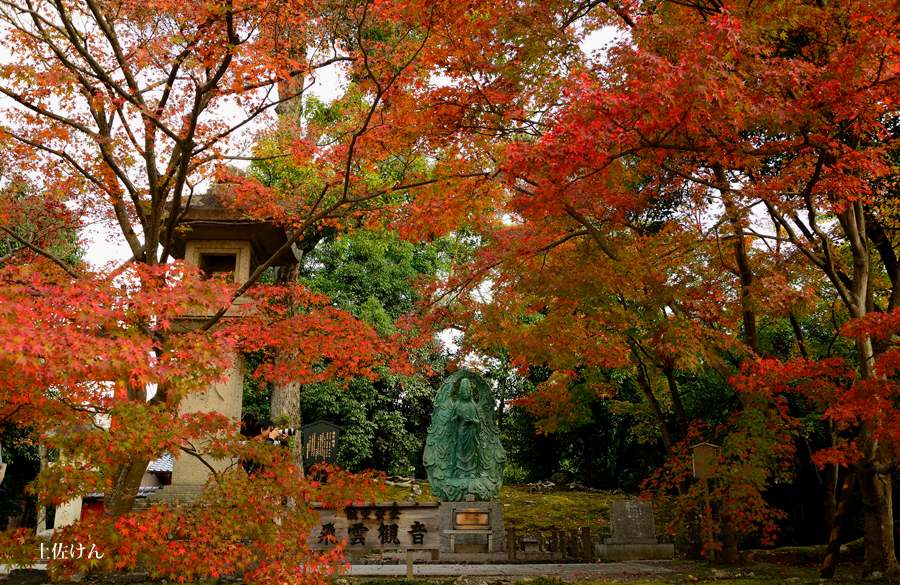 秋の京都２