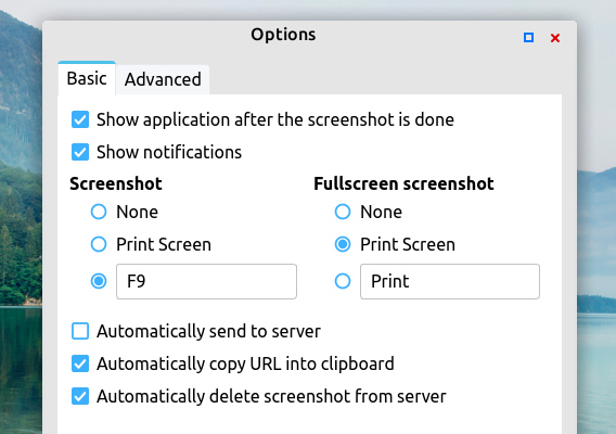 ScreenShooter Ubuntu 画面キャプチャ ドローツール オプション